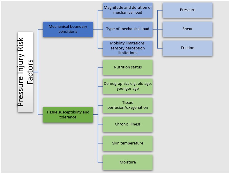 Pressure Injury Risk Factor